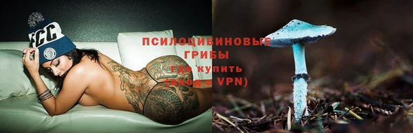 ПСИЛОЦИБИНОВЫЕ ГРИБЫ Балахна