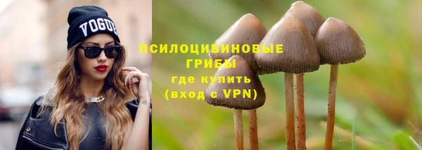ПСИЛОЦИБИНОВЫЕ ГРИБЫ Балахна