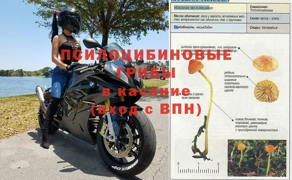 ПСИЛОЦИБИНОВЫЕ ГРИБЫ Балахна